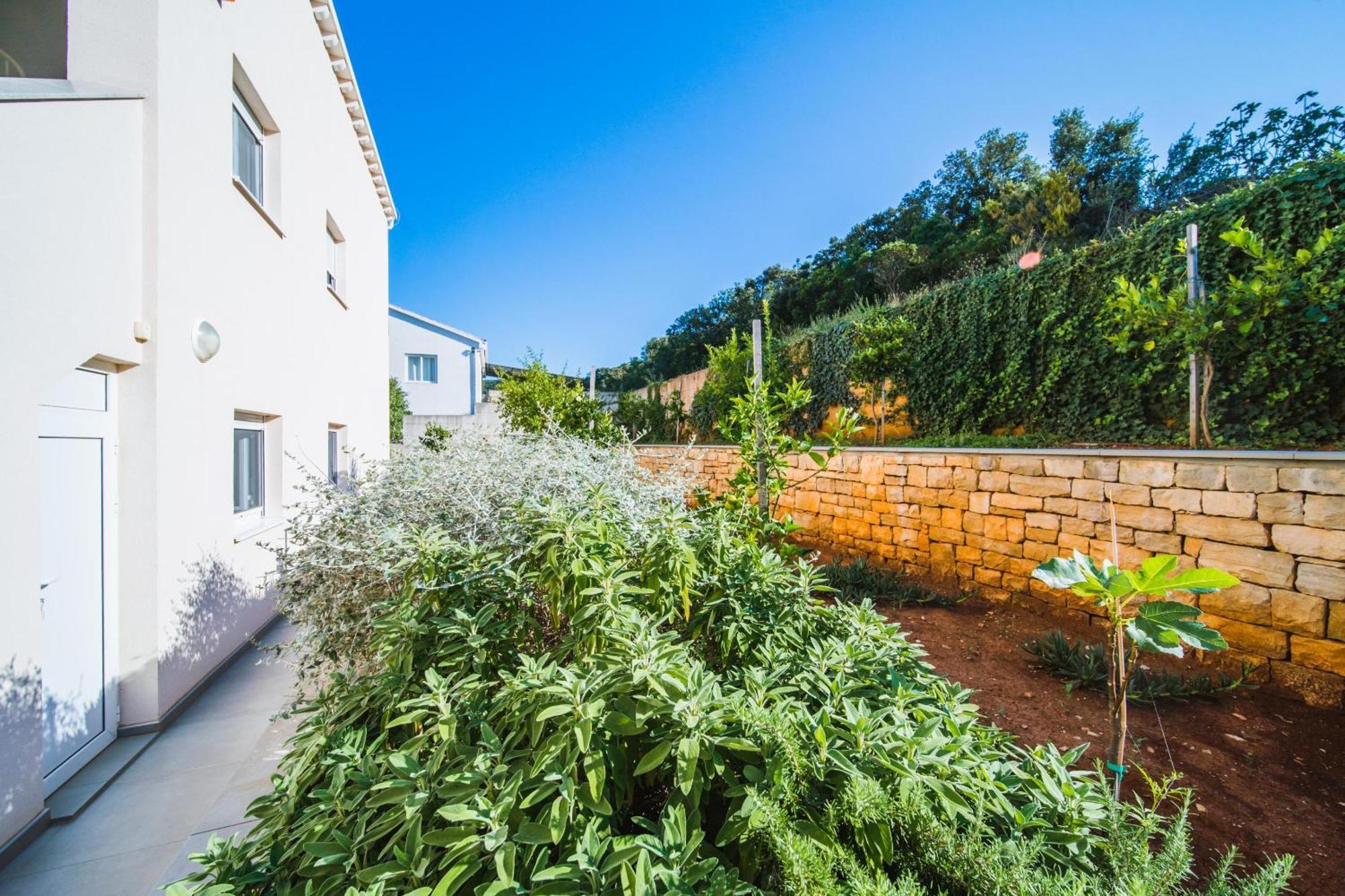 Villa Teuta Korčula Exterior foto